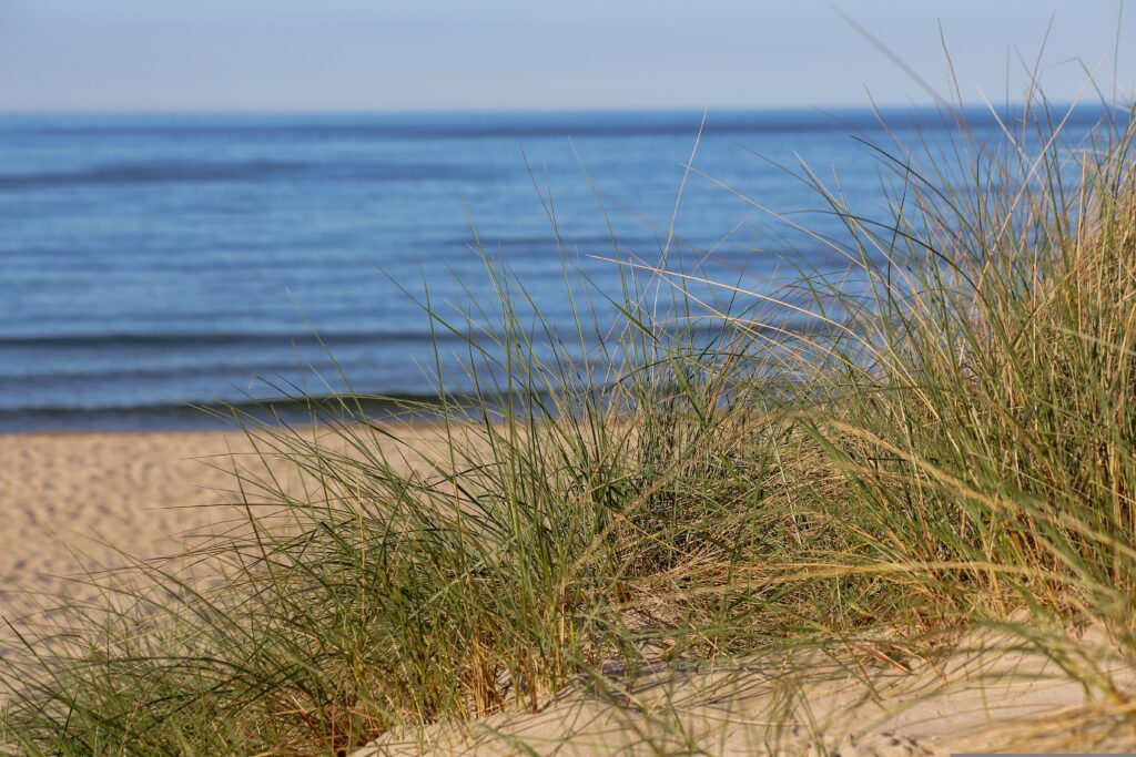 en sandstrand