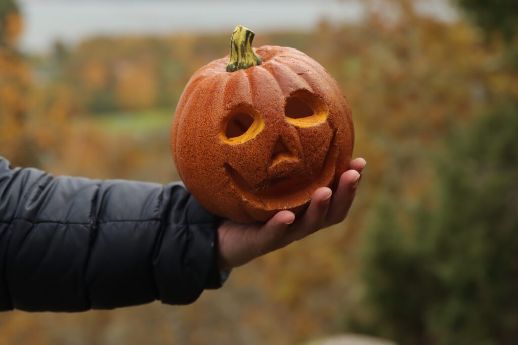 Holding a carved pumpkin infront of field
